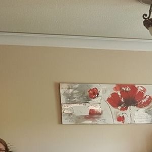 Meet your Posher, Carina